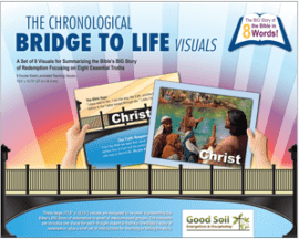 ChronoBridge Teaching Visuals