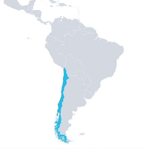 Chile and ABWE Canada