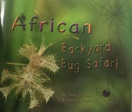 African Backyard Bug Safari 