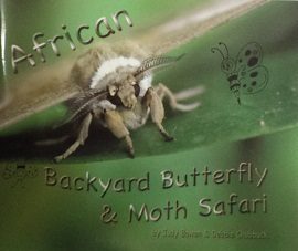 African Backyard Butterfly & Moth Safari 